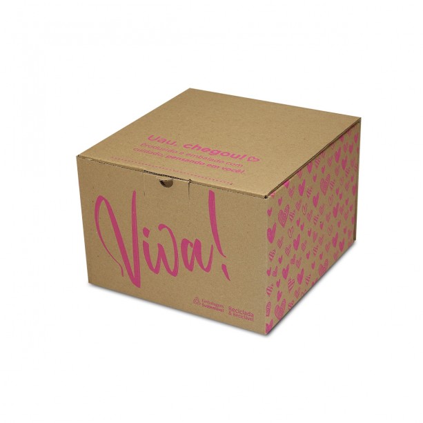 Caixa de Papelão Sedex 06 (24x24x16) Coleção Viva
