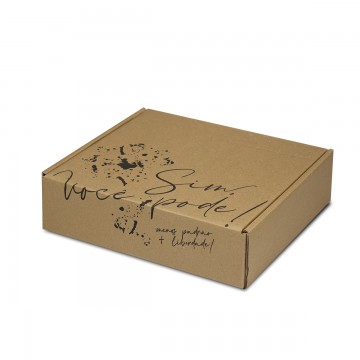 Caixa de Papelão Sedex 04 (26x24x07) Coleção Afetiva Você pode!