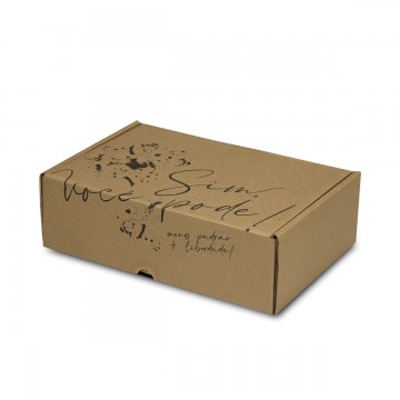Caixa de Papelão Sedex 07 ( 32x19x09) Coleção Afetiva Empoderada Você pode!
