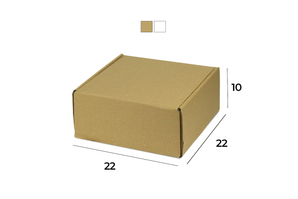 Caixa de Papelão Sedex 22 (22x22x10) Lisa
