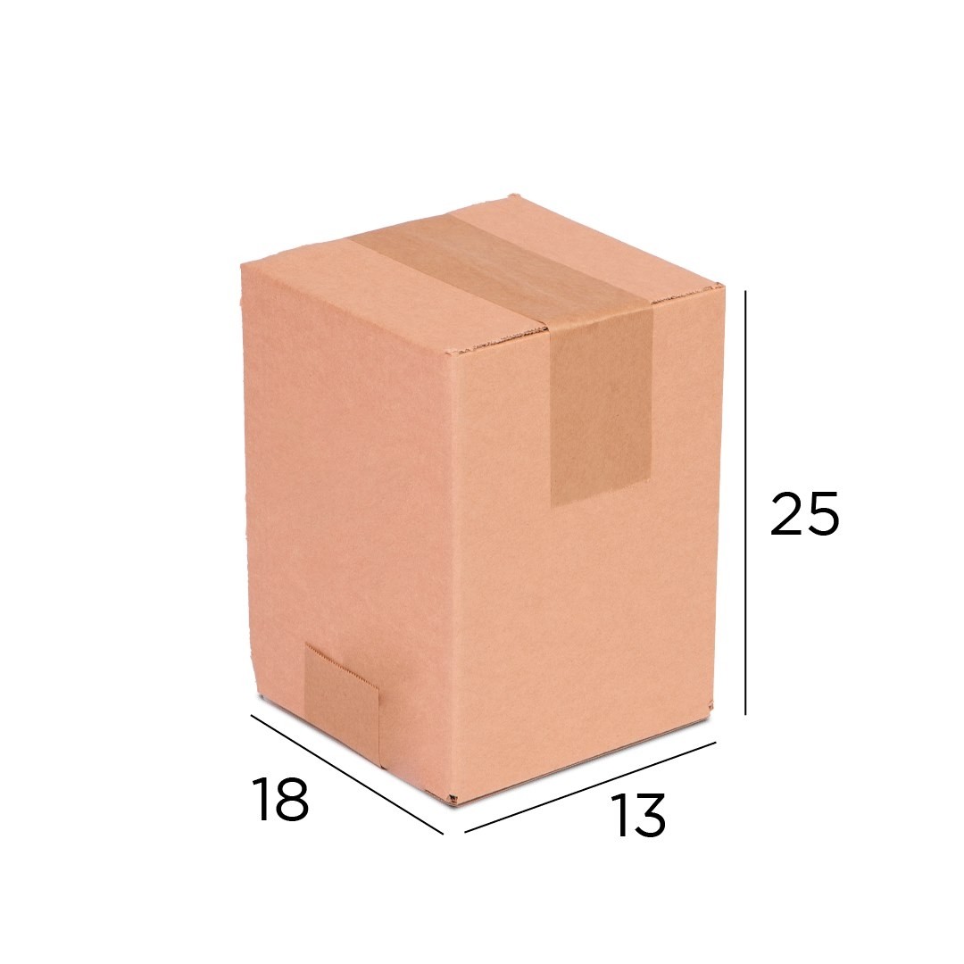 Caixa de Papelão Lisa 08 - (18x13x25)